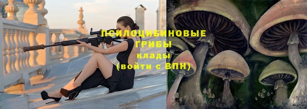 бошки Лихославль